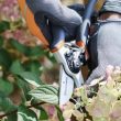 Husqvarna Hand Pruner - Technical