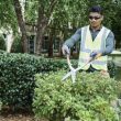 Husqvarna Hedge Shears - Precision