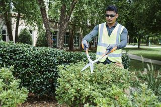 Husqvarna Hedge Shears - Precision