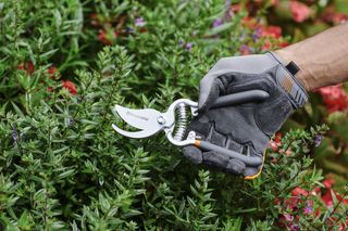 Husqvarna Hand Pruner - Classic