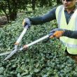 Husqvarna Hedge Shears - Coarse