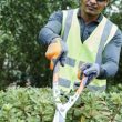 Husqvarna Hedge Shears - Precision