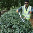 Husqvarna Hedge Shears - Coarse