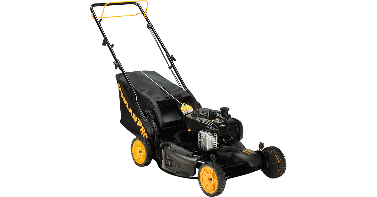 Poulan Pro PR550N22RH3