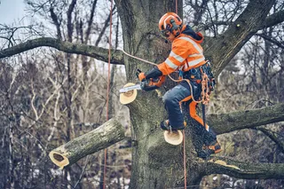 Husqvarna T542i XP® Battery treecare chainsaw