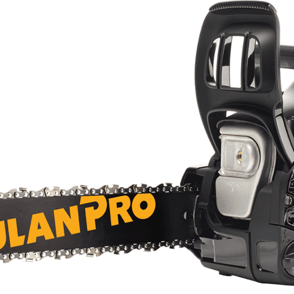 Poulan Pro Chainsaw PR4218