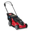 Toro 60V MAX* 21 in. (53 cm) Stripe® Self-Propelled Mower - Tool Only (21621T)